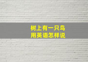 树上有一只鸟 用英语怎样说